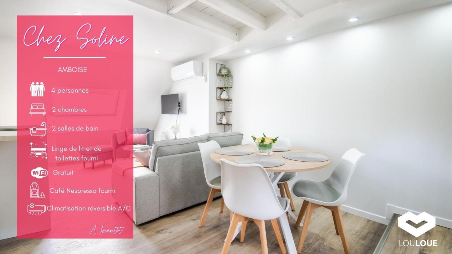 Chez Soline - Le Duplex Climatise Amboise Ngoại thất bức ảnh