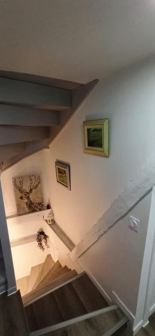 Chez Soline - Le Duplex Climatise Amboise Ngoại thất bức ảnh