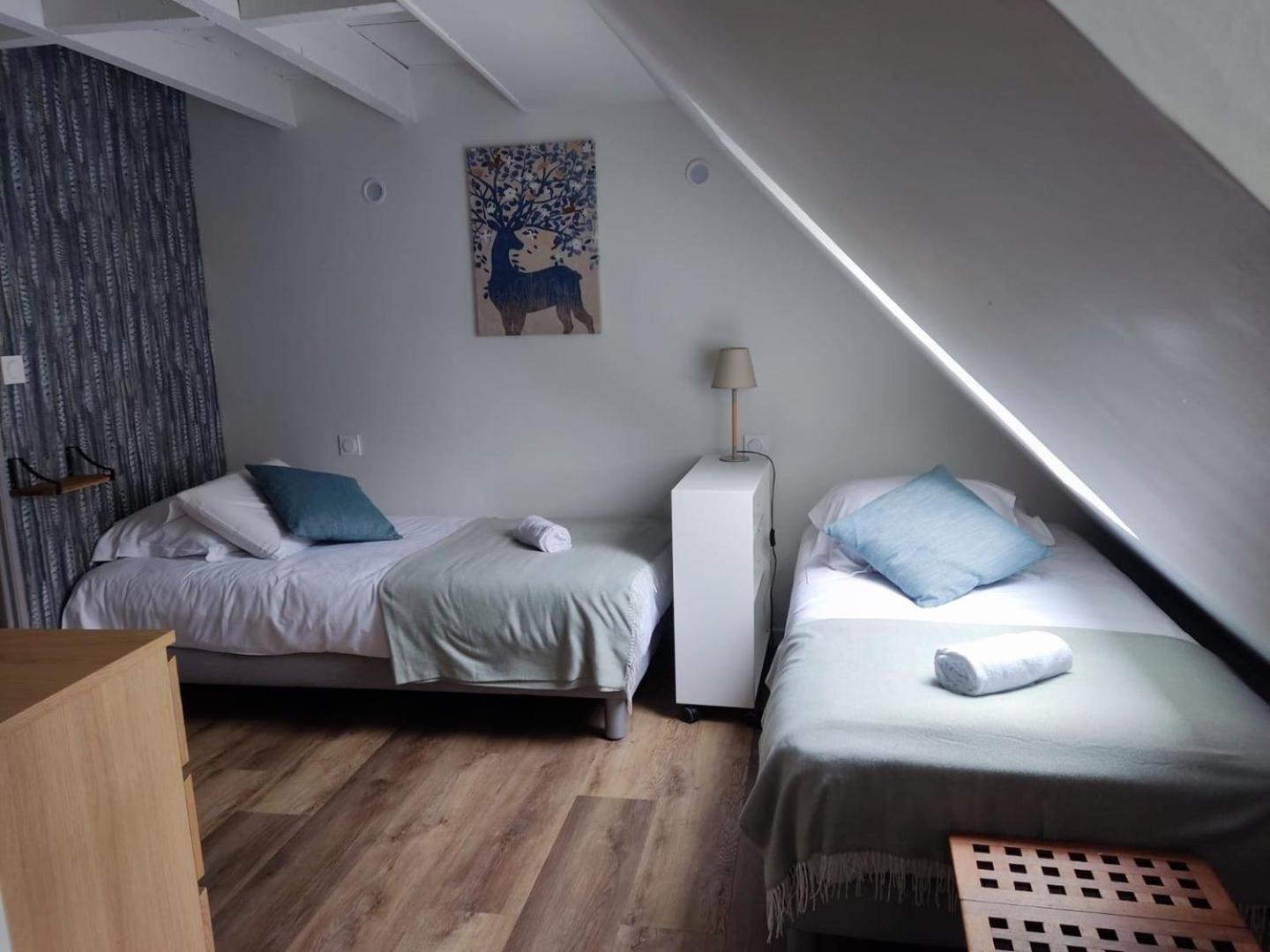 Chez Soline - Le Duplex Climatise Amboise Ngoại thất bức ảnh